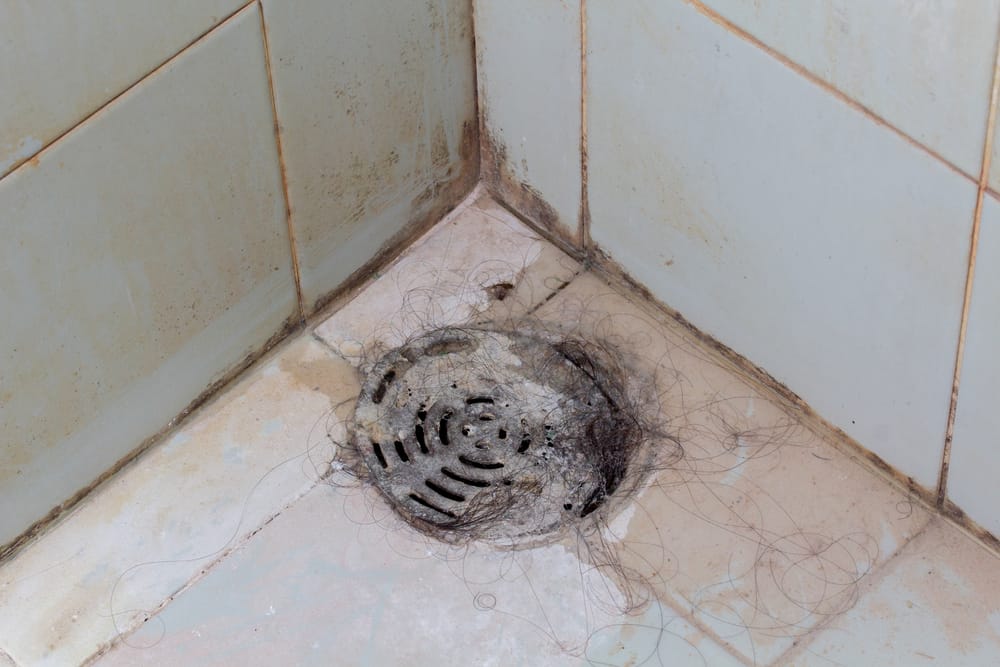 unblock a shower drain