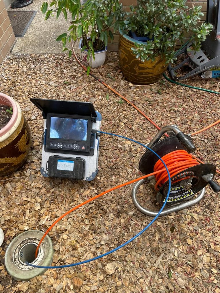 540599859_1256062546534870_7187968894369334863_n-1