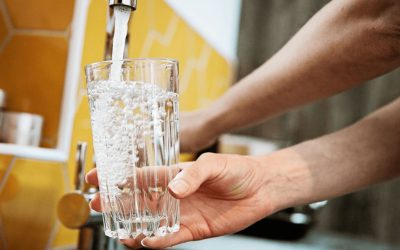 Can You Drink Tap Water In Brisbane?