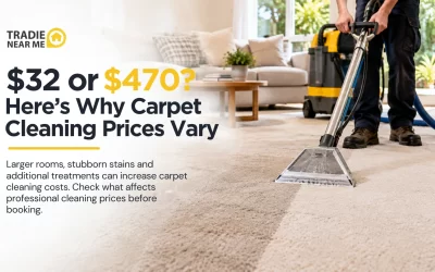 How Much Does Professional Carpet Cleaning Cost?